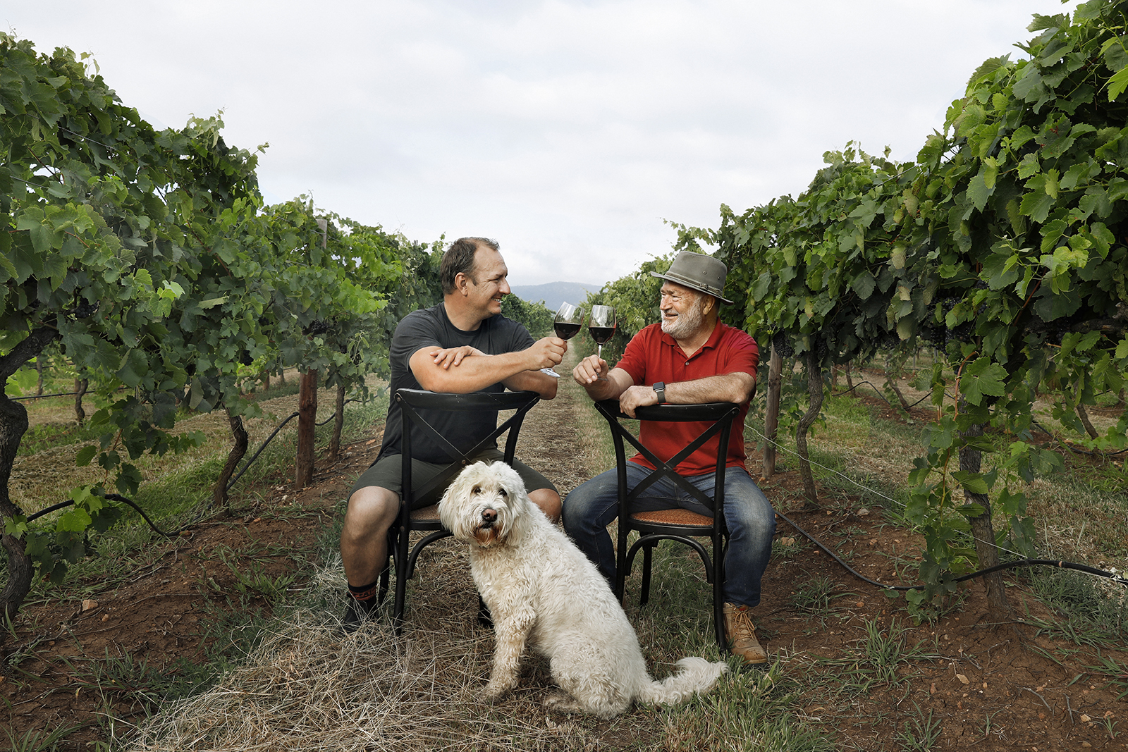 Two men with a dog drinking wine in the vineyard 